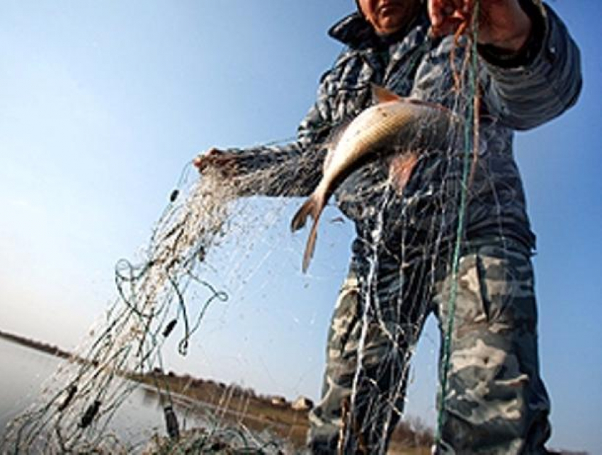 На рыбаков-браконьеров завели уголовное дело в Волжском