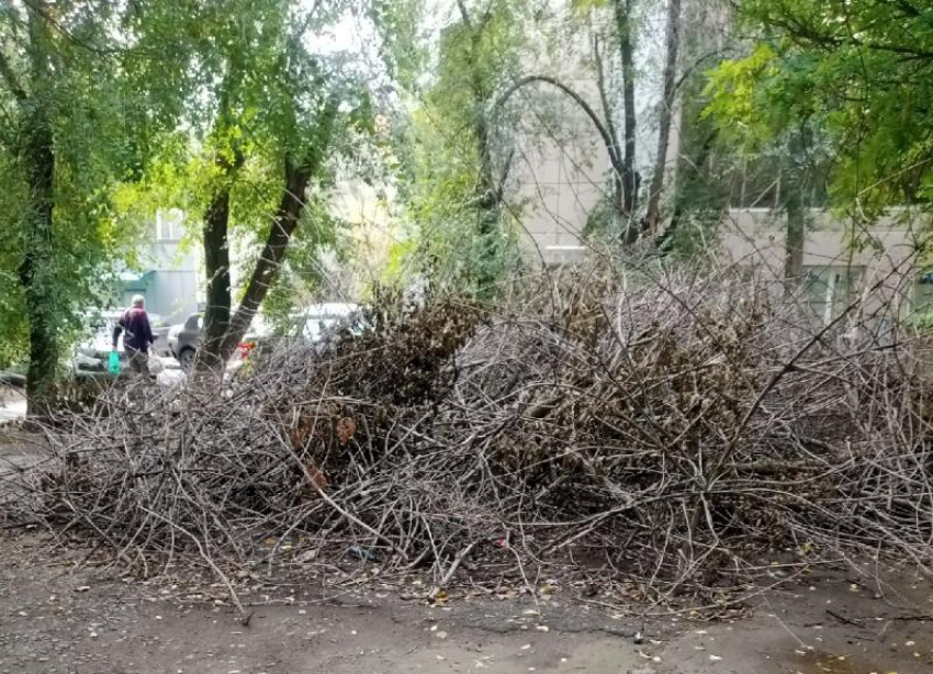 Панно из сухих веток своими руками. | Мебель | Кухни на заказ Киров-Усинск | ВКонтакте