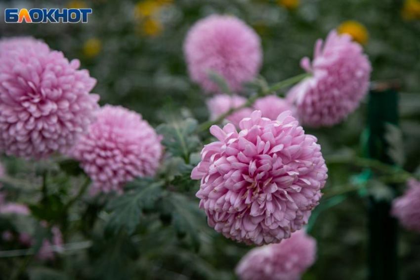 Выходные в Волжском будут хмурыми: прогноз погоды