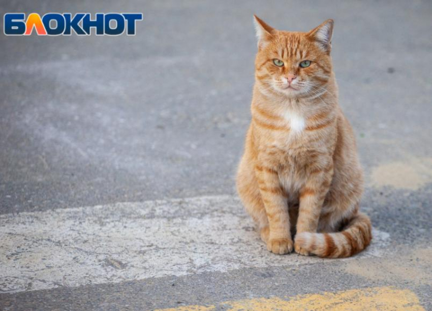 Пятница принесет волжанам морозец