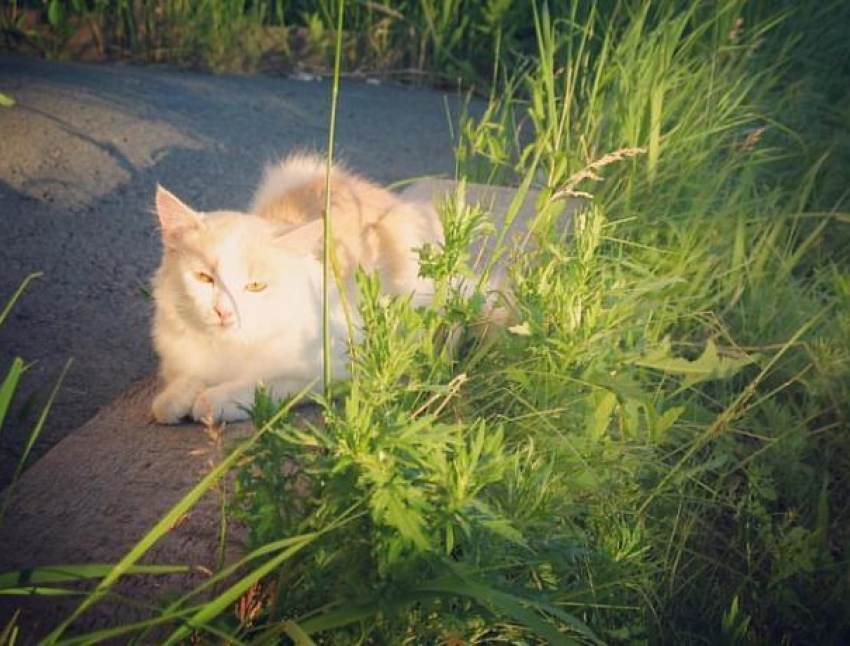 В последний день лета погода не балует жарой