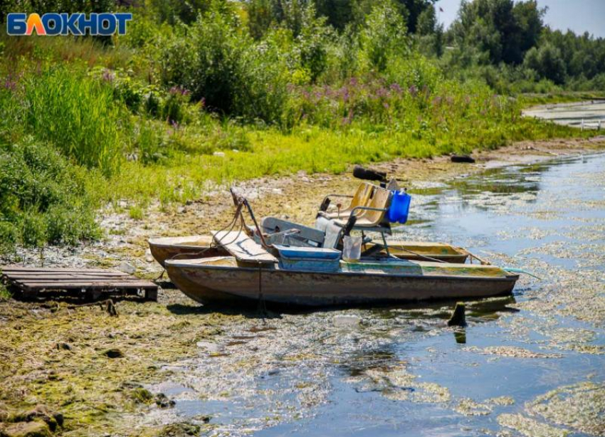 Волжане увидят вещие сны: что можно делать в Евдокимов день