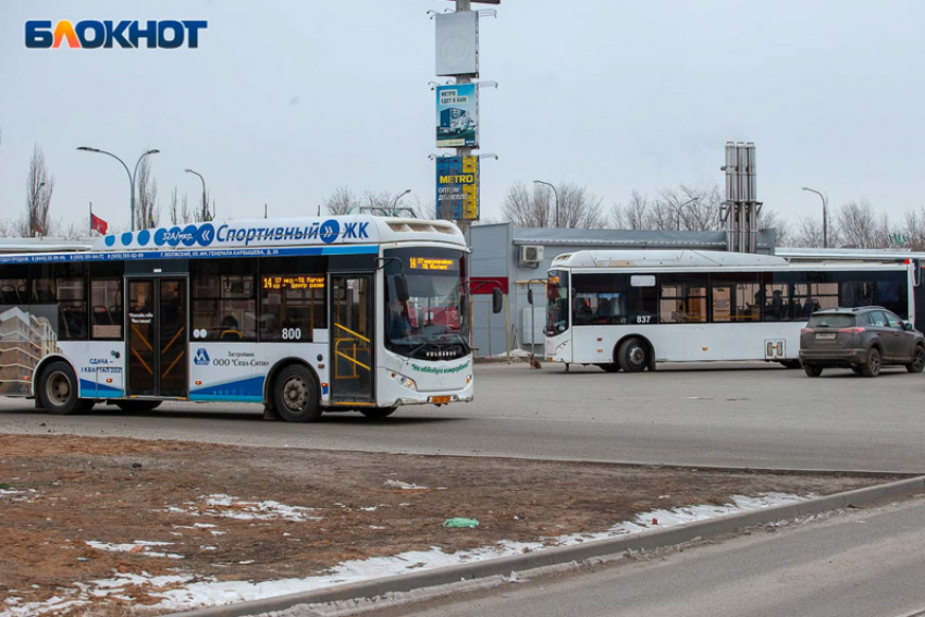  «На работу никто не выйдет»: в Волжском жители уверены, что отмена автобусов приведет к жесточайшему дорожному коллапсу