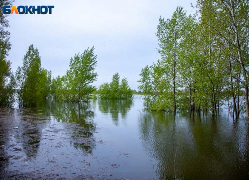 Дождливый понедельник ожидает волжан: прогноз погоды