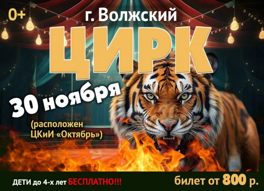 Товар дня! Билеты в цирк «Виолетт» от 800 рублей