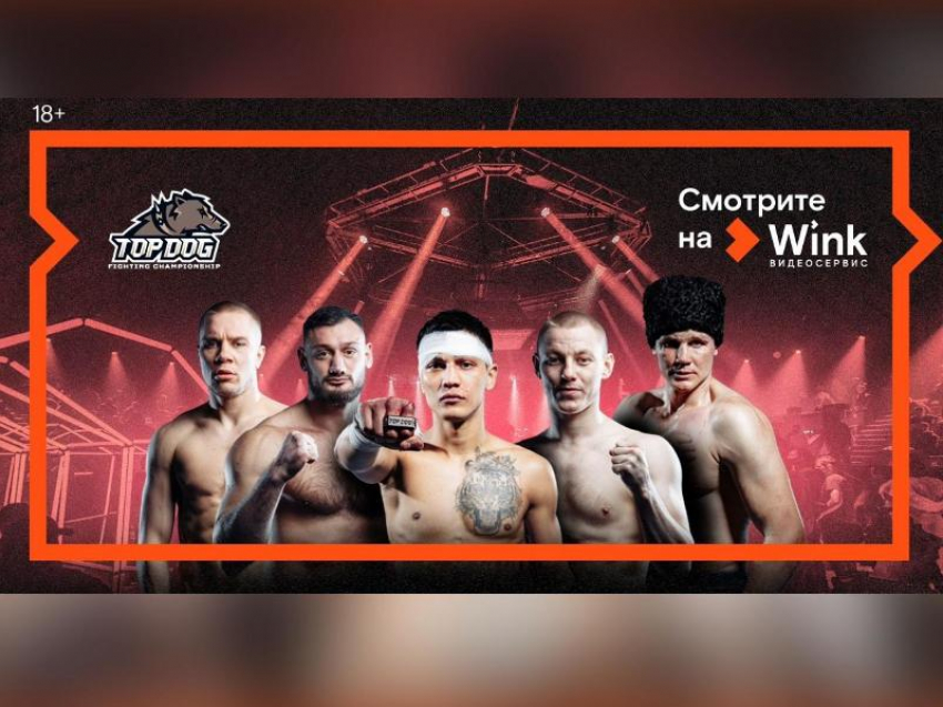 Осенью Wink снова покажет лучшие кулачные бои в прямом эфире