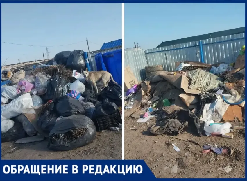 «Куда уходят деньги?»: жители волжского СНТ «Здоровье Химика» бьют тревогу 