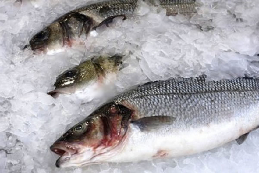 В Волжском около 70 килограммов рыбы хранили не по правилам 