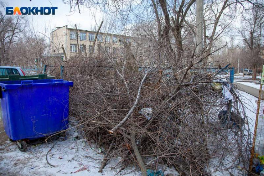 Жители Волжского начали судиться за уборку годовой свалки спиленных веток во дворах