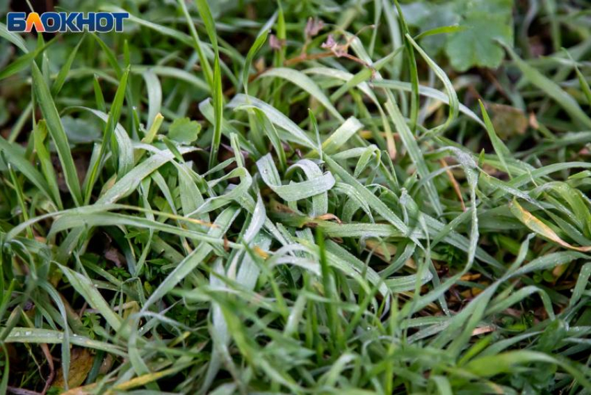 Вторник в Волжском будет пасмурным: ожидается магнитная буря