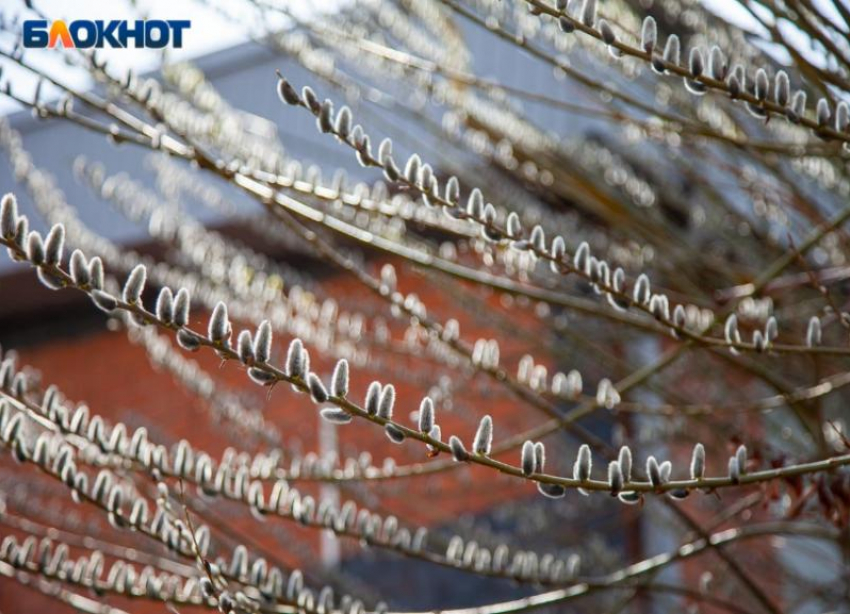 Волжанам весь четверг будет улыбаться солнце: прогноз погоды