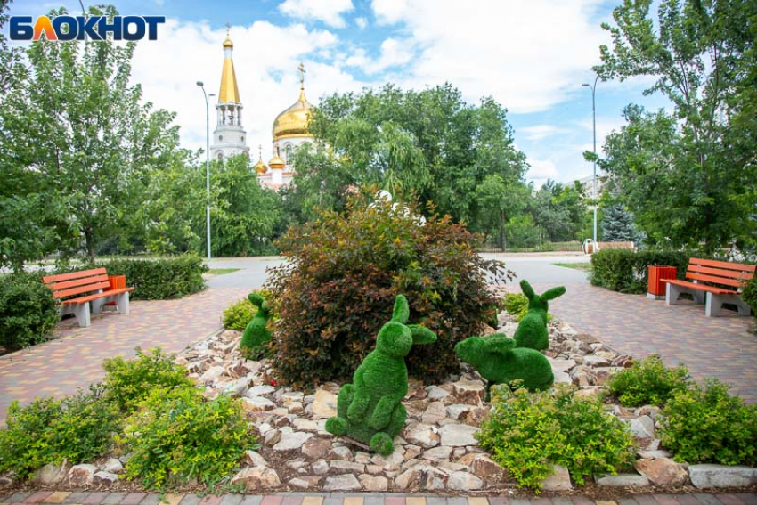 Солнечное утро прогнозируют в Волжском: погода