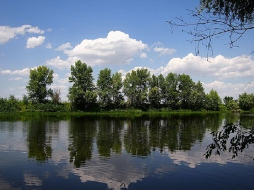 В Волго-Ахтубинской пойме восстанавливают эко-системы трех озер