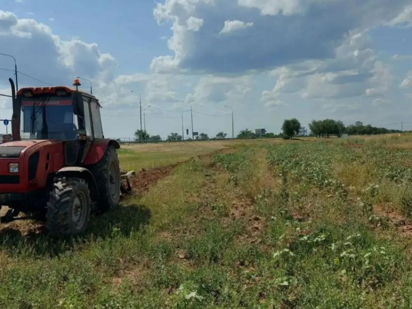 Щит от огня: Как в Волжском создают защитный барьер против природных пожаров