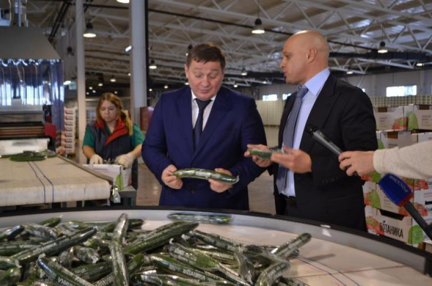 Губернатор Андрей Бочаров попросил волжских овощеводов накормить огурцами Волгоградскую область