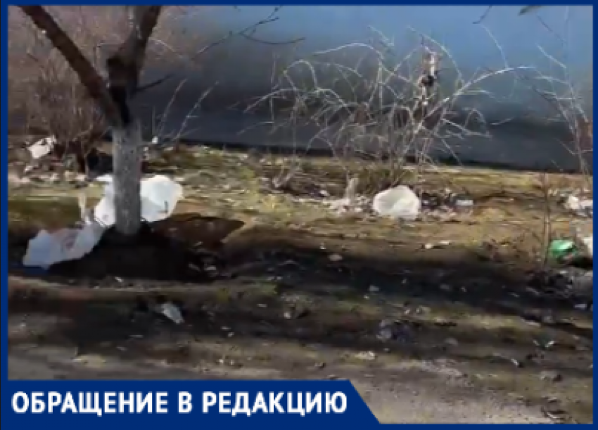 Грязь под окнами: волжанка показала ужасающие последствия соседства с неряхами