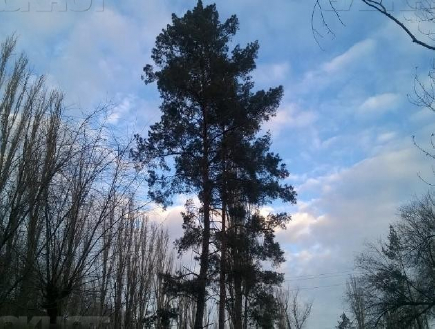 Облачную погоду и тихий ветер спрогнозировали волжанам во Всемирный день экскурсовода