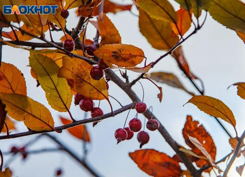 Тепло и солнечно будет во вторник в Волжском: прогноз погоды