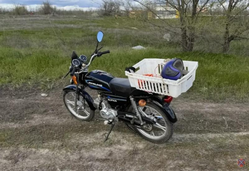 В Волжском пожилой мужчина на мопеде попал в больницу из-за наезда на животное