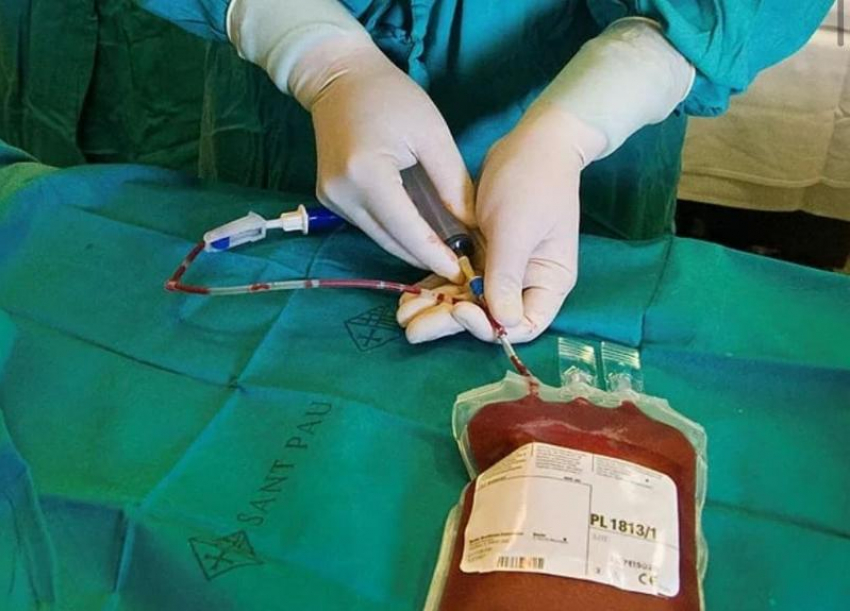 Волжанке с лейкозом провели трансплантацию костного мозга в Турции