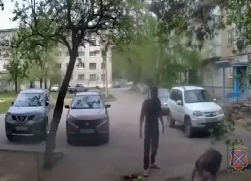 В Волжском задержан мужчина, устроивший конфликт во дворе из-за цветов: видео