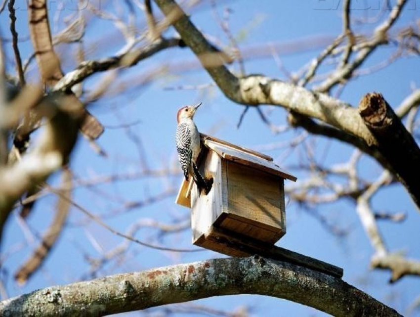 Яркое солнце и легкий ветер пообещали волжанам в Антипасху