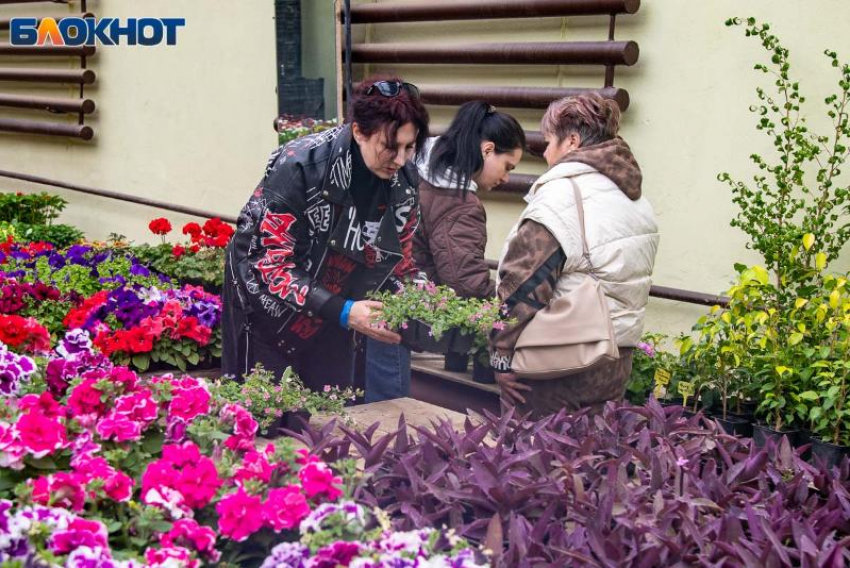Искры творчества, криминальные тайны и ритмы весны: афиша Волжского на неделю с 20 по 26 апреля