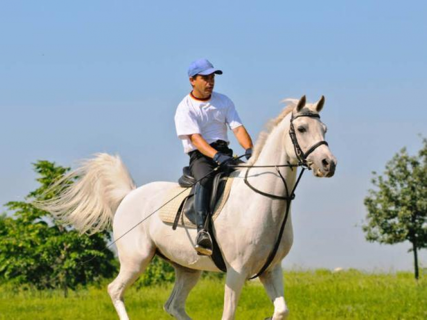 В понедельник волжан ожидает переменная погода