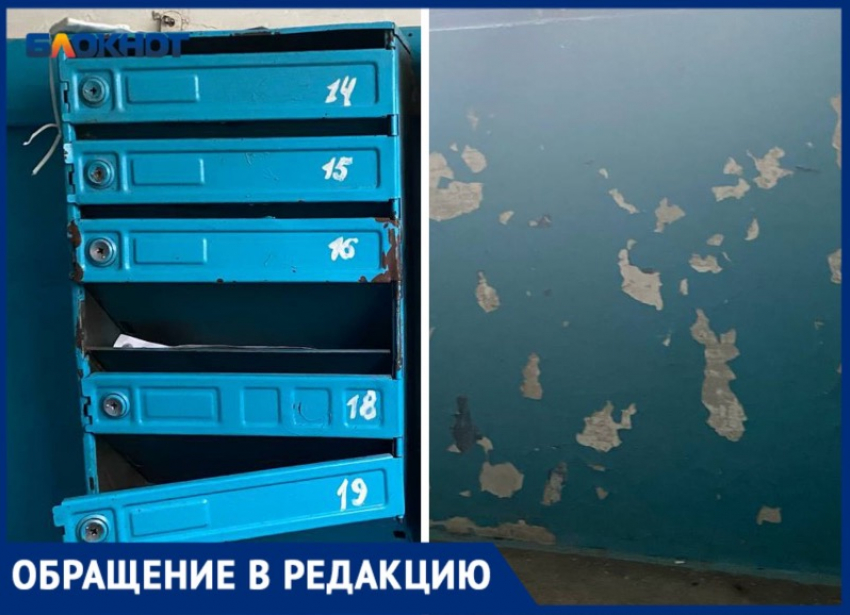 Грязные и обшарпанные подъезды: волжане продолжают жаловаться на УК «Лада Дом»