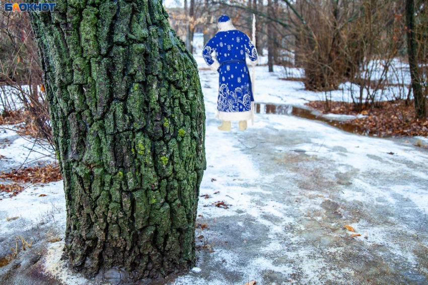 Как Дед Мороз убежал от фотографа «Блокнота Волжского»