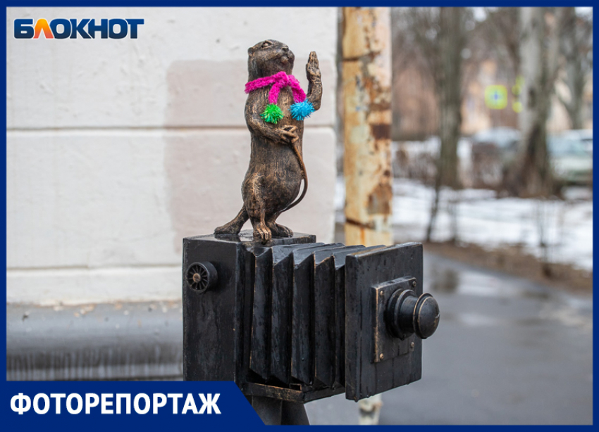 Погода в Волжском: фоторепортаж от Суслика-фотографа