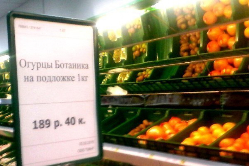 Волжане так и не дождались доступных огурцов от «Овощевода»