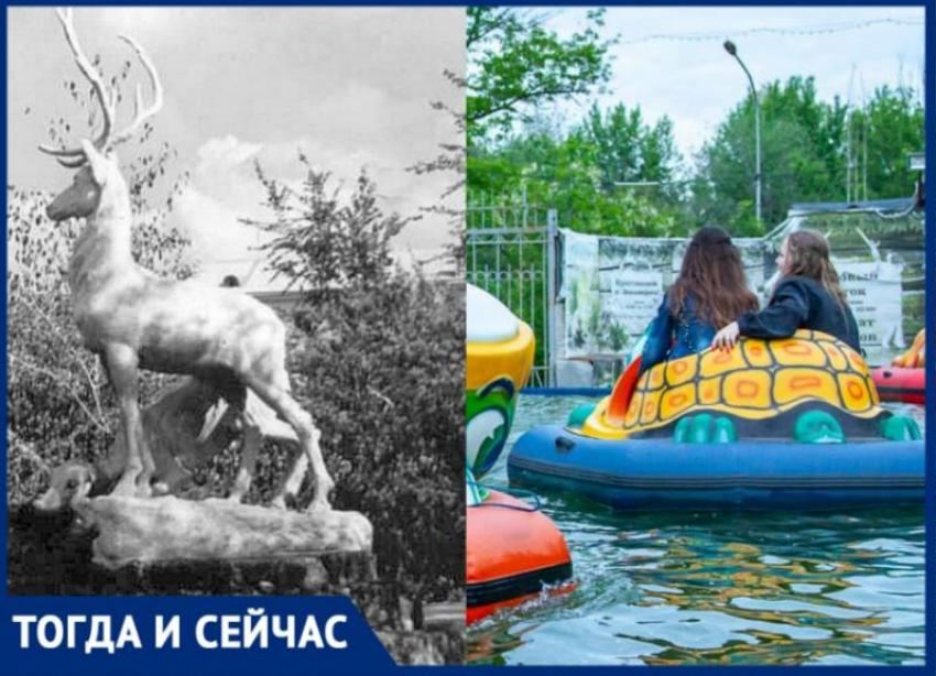Возвращение «блудного» оленя планируется в парке «Гидростроитель» в Волжском