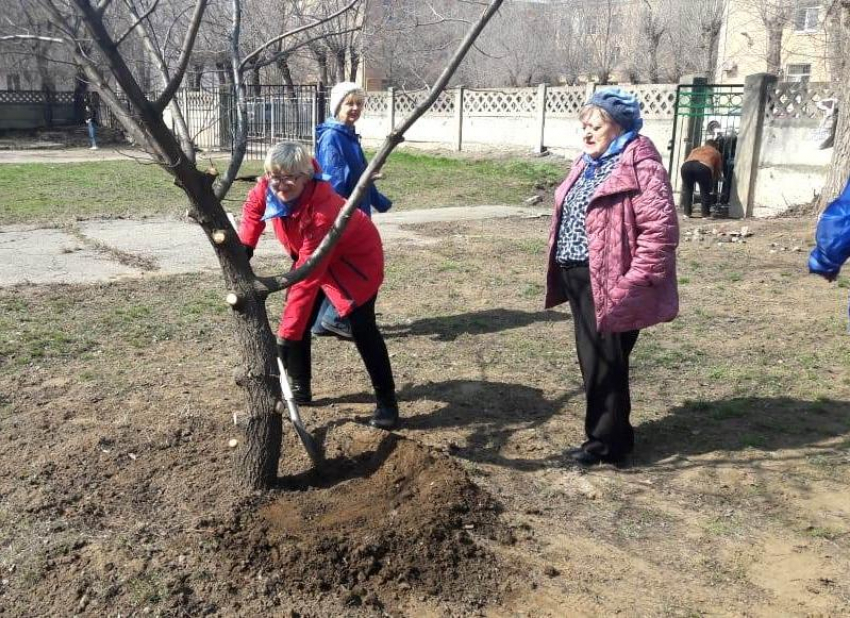 Беремся за грабли и лопаты: в Волжском стартовал традиционный месячник