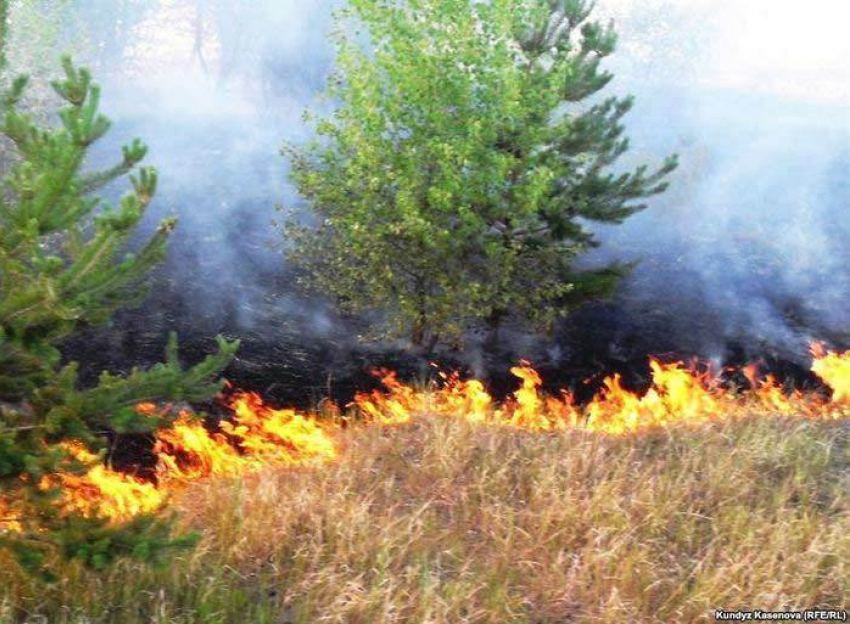 В Волгоградской области прогнозируют чрезвычайную пожароопасность