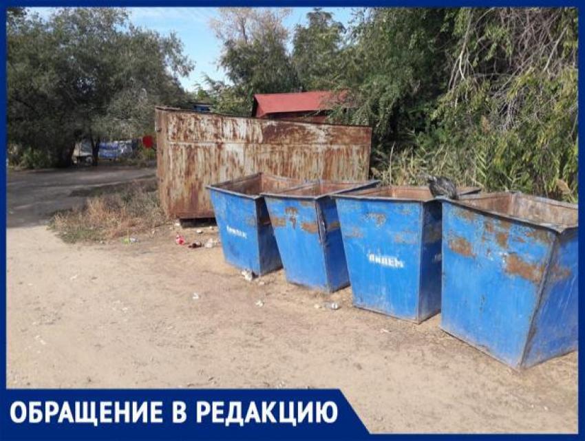 «Площадки под контейнеры не соответствуют санитарным нормам», - Иван Есипов