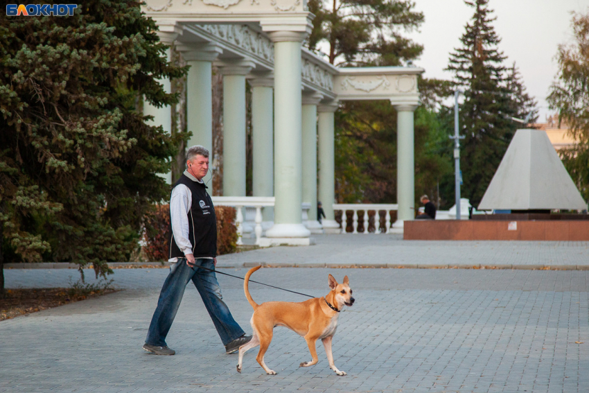 Начало недели в Волжском принесет похолодание