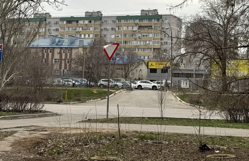 Вой ночами и нападения на людей: в Волжском жители страдают от огромной стаи прикормленных собак
