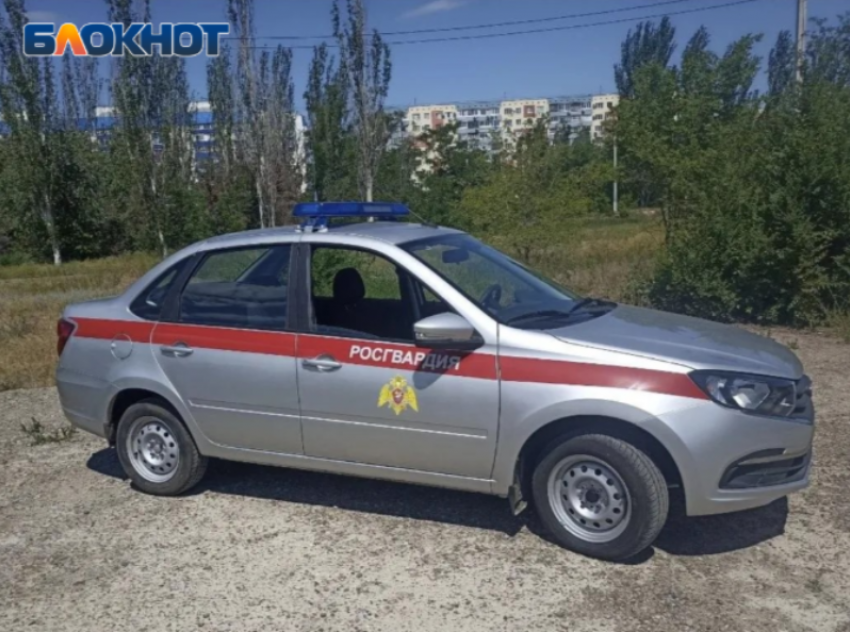В Волжском задержали похитителя «горячительного» и двух воров с инструментами