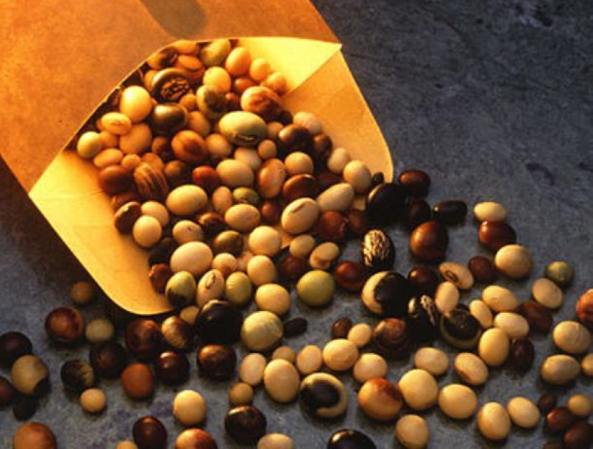 Какую опасность для волжан таит соя?