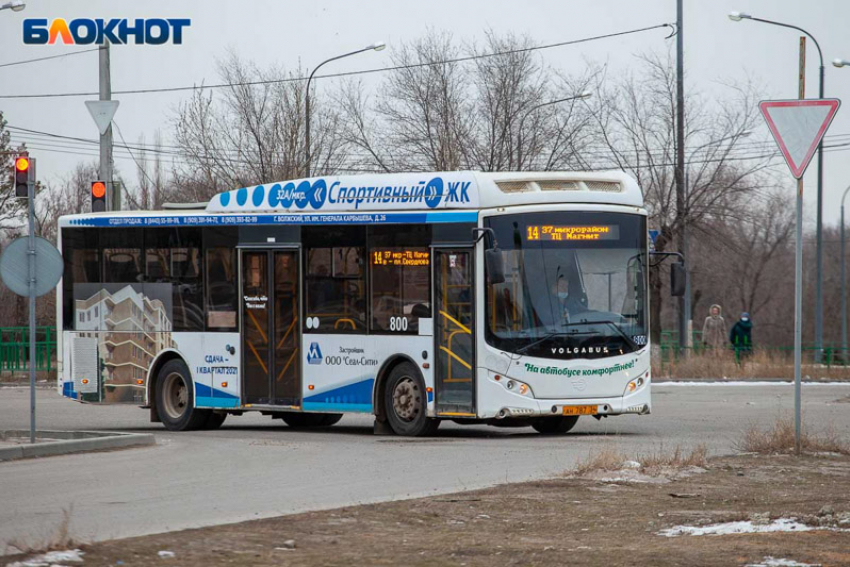 Как в Волжском будут ходить автобусы в новогоднюю ночь: расписание