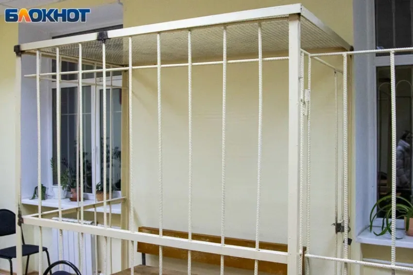 Больше 800 граммов: в Волжском задержан ранее судимый за крупное хранение конопли