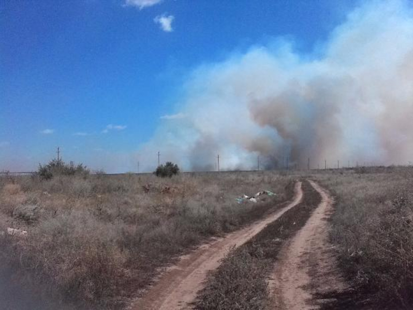 Напротив СНТ «Тюльпан» в Волжском разгорается крупный пожар