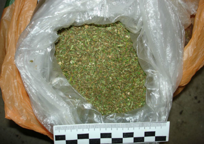 Жителю Михайловского района за хранение марихуаны грозит до 10 лет колонии