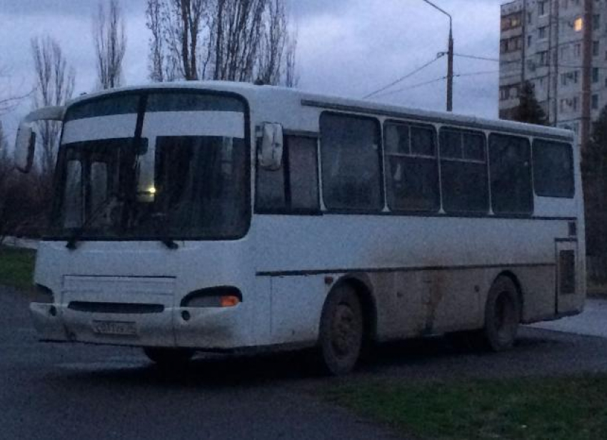 Водитель автобуса облюбовал в качестве стоянки парк в Волжском