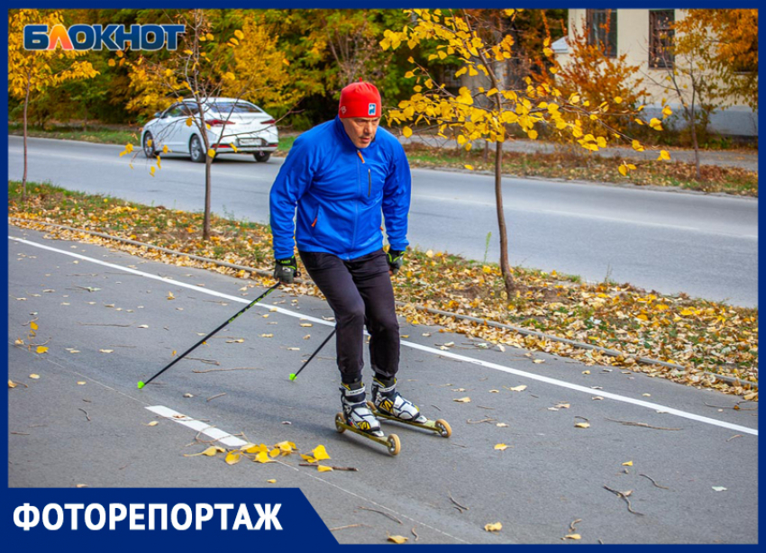 Золотая осень в Волжском: рыжие листья и счастливые люди в объективе фотографа