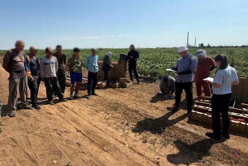 В Волжском выявили десятки нарушений миграционного законодательства