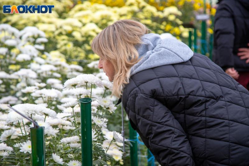 Нельзя стричь ногти: приметы в Волжском