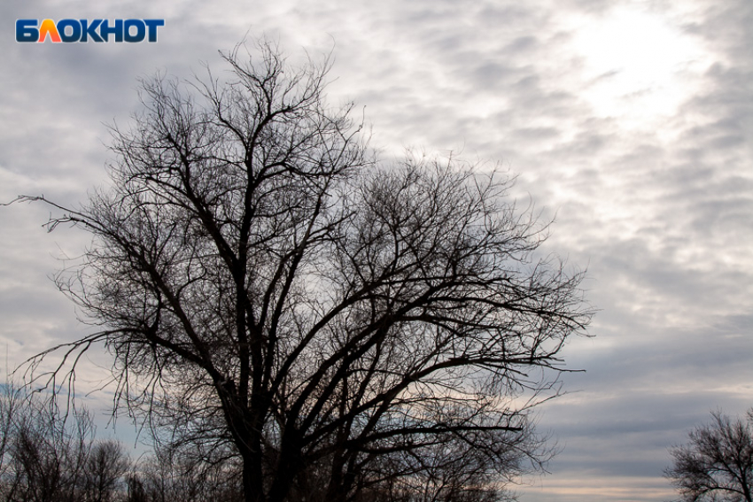 День осинового оберега и лесных предостережений: что нельзя делать и на что обратить внимание