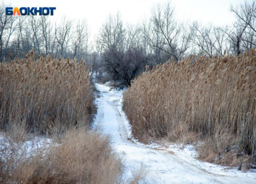 Сильный ветер ожидается в субботу в Волжском: прогноз погоды